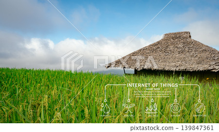 Smart farming concept. Traditional Asian rice field, where green crops thrive under blue sky and IoT technology connects rural landscape with modern agricultural innovation. Sustainable development. Smart farming concept. Traditional Asian rice field, where green crops thrive under blue sky and IoT technology connects rural landscape with modern agricultural innovation. Sustainable development. 139847361