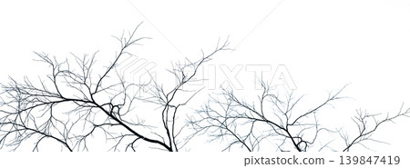 Dead tree and branch isolated on white background. Black branches of tree backdrop. Nature texture background. Tree branch for graphic design and decoration. Art on black and white scene. Dead tree and branch isolated on white background. Black branches of tree backdrop. Nature texture background. Tree branch for graphic design and decoration. Art on black and white scene. 139847419