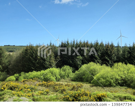 Beautiful Green Valley And Fields Of Ireland Under Deep Blue Summer Sky Natural Background Beautiful Green Valley And Fields Of Ireland Under Deep Blue Summer Sky Natural Background 139847734