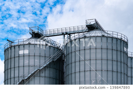Agricultural silo at feed mill factory. Big tank for store grain in feed manufacturing. Seed stock tower for animal feed production. Commercial feed for livestock, swine and fish industries. 139847893