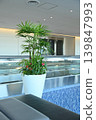 Potted plants and modern interior design in the airport lounge 139847993