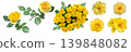 A cutout of a yellow rose (with a transparent background) 139848082