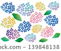 Hydrangea illustration parts set for the rainy season (transparent background) 139848138