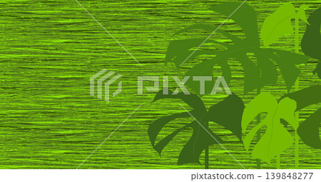 A tropical background pattern designed with monstera leaves. A tropical background pattern designed with monstera leaves. 139848277