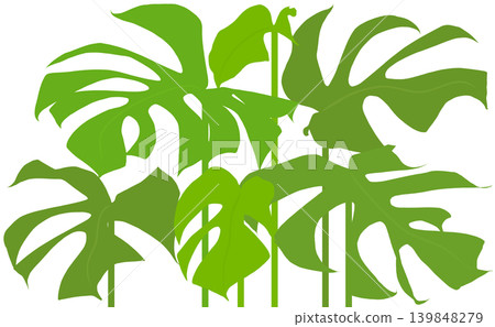 A tropical cutout pattern designed with monstera leaves. A tropical cutout pattern designed with monstera leaves. 139848279