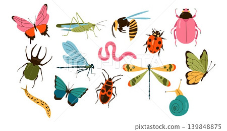 Set of colorful insects and butterflies isolated on white background 139848875