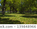 城市綠洲：一個被豐富自然景觀環繞的寬敞公園。 139848966