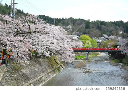 Cherry blossoms in full bloom and Nakabashi Bridge, Gifu Cherry blossoms in full bloom and Nakabashi Bridge, Gifu 139849836