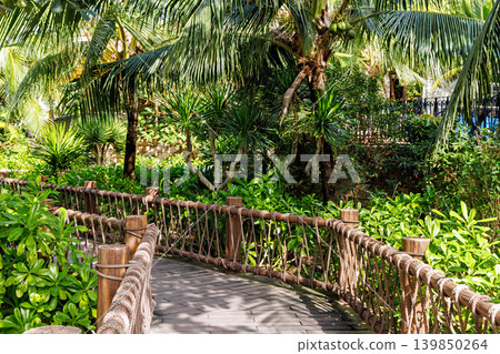 Phu Quoc Island, Vietnam - January 3 2026: Tropical garden walkway with palm trees on Phu Quoc Island Phu Quoc Island, Vietnam - January 3 2026: Tropical garden walkway with palm trees on Phu Quoc Island 139850264