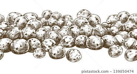 Potato hand drawn illustration in ink style. Seamless border design with raw vegetables for food packaging and organic farm market advertisement. Black and white graphic print for cooking. Potato hand drawn illustration in ink style. Seamless border design with raw vegetables for food packaging and organic farm market advertisement. Black and white graphic print for cooking. 139850474