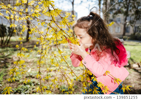 Little Caucasian girl smelling forsythia flowers in a spring garden while wearing a pink jacket and backpack outdoors. Childhood lifestyle Little Caucasian girl smelling forsythia flowers in a spring garden while wearing a pink jacket and backpack outdoors. Childhood lifestyle 139851255