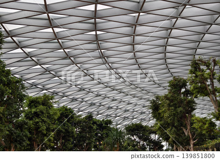 Contemporary glass enclosed indoor garden filled with abundant verdant foliage and sunlight 139851800
