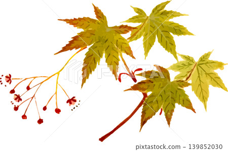 仍呈現藍綠色的楓葉的剪紙素描素材 139852030