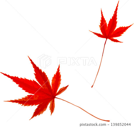 兩片鮮紅色的楓葉剪紙,可用於素描。 兩片鮮紅色的楓葉剪紙,可用於素描。 139852044