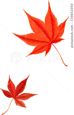 兩片鮮紅色的楓葉剪紙,可用於素描。 兩片鮮紅色的楓葉剪紙,可用於素描。 139852059