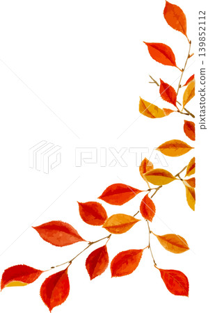 Sketch material of the autumn leaves of Euonymus alatus Sketch material of the autumn leaves of Euonymus alatus 139852112