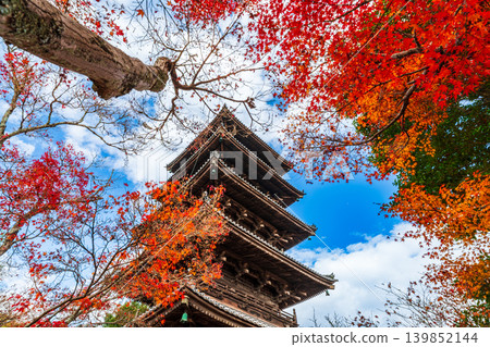 Late Autumn at Bitchu Kokubunji Temple: The Five-Storied Pagoda Surrounded by Autumn Leaves (Part 3) - Soja City, Okayama Prefecture Late Autumn at Bitchu Kokubunji Temple: The Five-Storied Pagoda Surrounded by Autumn Leaves (Part 3) - Soja City, Okayama Prefecture 139852144