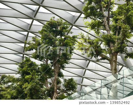 Contemporary glass enclosed indoor garden filled with abundant verdant foliage and sunlight Contemporary glass enclosed indoor garden filled with abundant verdant foliage and sunlight 139852492
