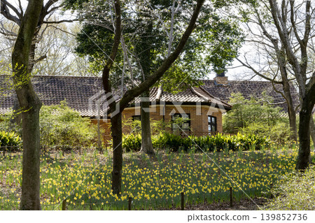 A house surrounded by green A house surrounded by green 139852736