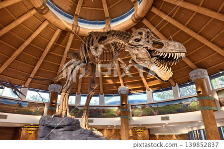 Grand museum setting featuring towering dinosaur skeleton displayed within woodendomed rotunda Grand museum setting featuring towering dinosaur skeleton displayed within woodendomed rotunda 139852837