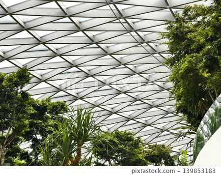 Contemporary glass enclosed indoor garden filled with abundant verdant foliage and sunlight Contemporary glass enclosed indoor garden filled with abundant verdant foliage and sunlight 139853183