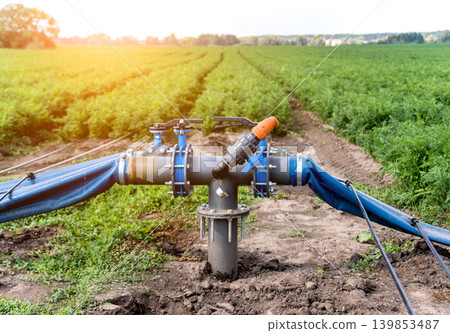 Drip irrigation system. Water saving drip irrigation system Drip irrigation system. Water saving drip irrigation system 139853487