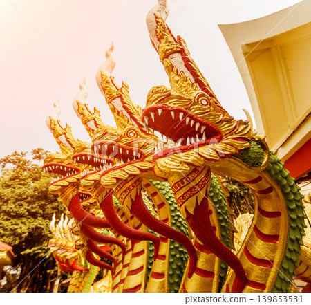Symbols of Buddhism. South-Eastern Asia. Details of buddhist temple in Thailand. 139853531