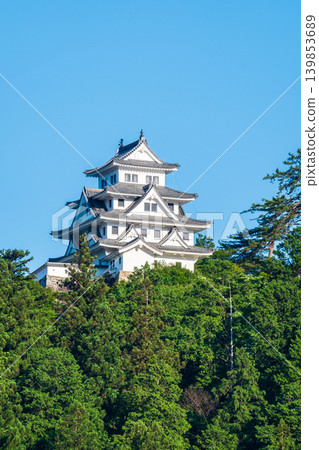 郡上八幡城 139853689