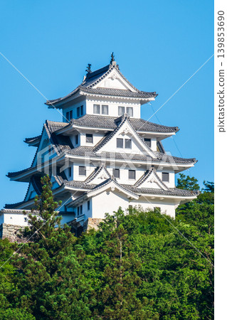 郡上八幡城 郡上八幡城 139853690
