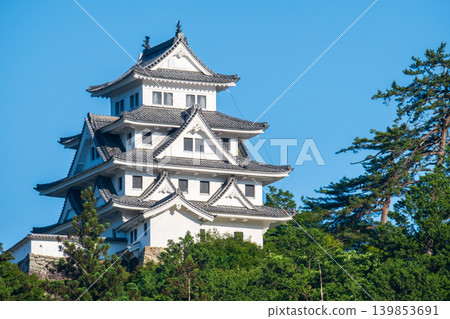 郡上八幡城 郡上八幡城 139853691