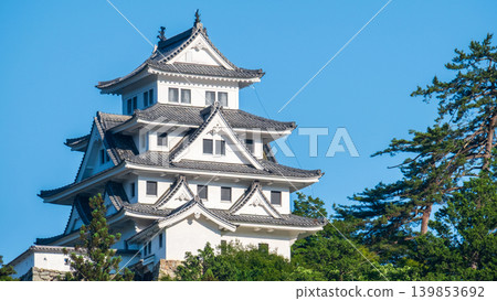 郡上八幡城 139853692