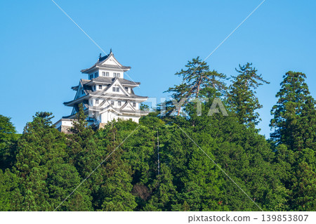 郡上八幡城 郡上八幡城 139853807