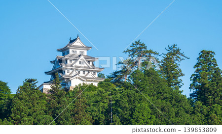郡上八幡城 郡上八幡城 139853809