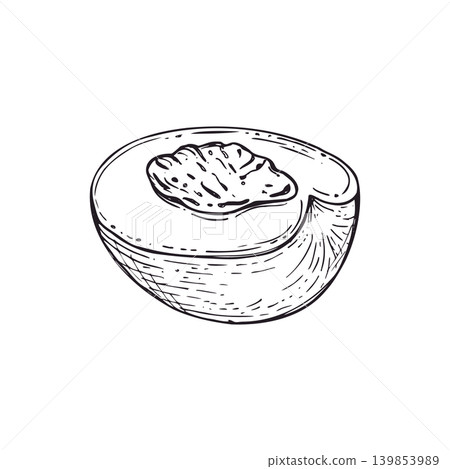 Peach half vector isolated illustration. Hand drawn fresh fruit slice with seed linear drawing painted by black inks. Ripe nectarine sketch for healthy food menu, organic agriculture, vegan diet Peach half vector isolated illustration. Hand drawn fresh fruit slice with seed linear drawing painted by black inks. Ripe nectarine sketch for healthy food menu, organic agriculture, vegan diet 139853989