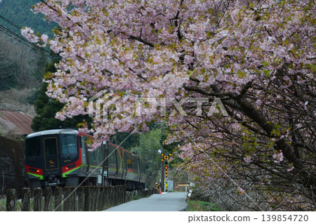Cherry blossoms and the limited express "Nanpu" at Ananai Station (Ananai, Otoyo-cho, Nagaoka-gun, Kochi Prefecture) Cherry blossoms and the limited express "Nanpu" at Ananai Station (Ananai, Otoyo-cho, Nagaoka-gun, Kochi Prefecture) 139854720