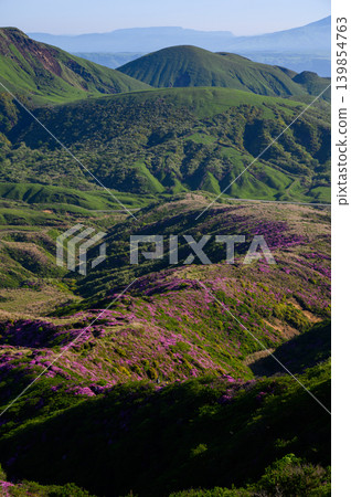 從惠伯岳所看到的杜鵑花(Rhododendron kiusianum) 從惠伯岳所看到的杜鵑花(Rhododendron kiusianum) 139854763