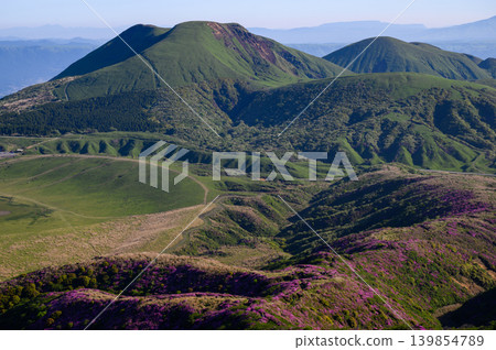 從艾伯西山眺望宮山霧島杜鵑 從艾伯西山眺望宮山霧島杜鵑 139854789