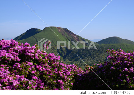 從艾伯西山眺望宮山霧島杜鵑 從艾伯西山眺望宮山霧島杜鵑 139854792
