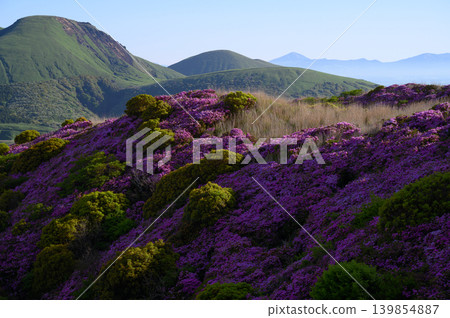 從盛開著杜鵑花(Rhododendron kiusianum)的山上眺望高千穗山。 從盛開著杜鵑花(Rhododendron kiusianum)的山上眺望高千穗山。 139854887