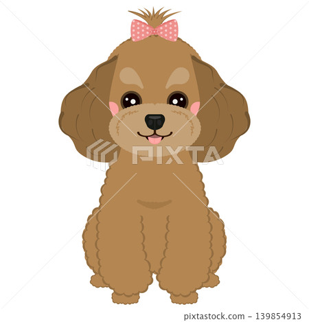 Sitting and smiling toy poodle Sitting and smiling toy poodle 139854913