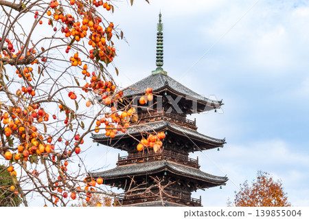 備中國分寺的深秋：柿子與五重塔（7）－岡山縣總社市 139855004