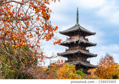 備中國分寺的深秋：柿子與五重塔（第六部分），岡山縣總社市 139855005