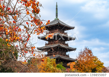 備中國分寺的深秋:柿子與五重塔(5)-岡山縣總社市 備中國分寺的深秋:柿子與五重塔(5)-岡山縣總社市 139855007