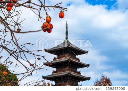 Late Autumn at Bitchu Kokubunji Temple: Persimmons and the Five-Storied Pagoda (Part 4), Soja City, Okayama Prefecture Late Autumn at Bitchu Kokubunji Temple: Persimmons and the Five-Storied Pagoda (Part 4), Soja City, Okayama Prefecture 139855008
