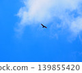 Jump 139855420