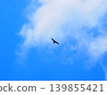 Jump 139855421