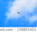 Jump 139855423