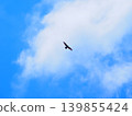 Jump 139855424