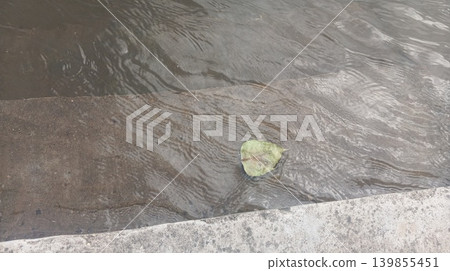 green moss on stone green moss on stone 139855451