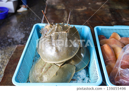 泰國市場販售的鱟 泰國市場販售的鱟 139855496